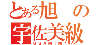 とある旭の宇佐美級（ＵＳＡＭＩ級）