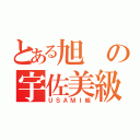 とある旭の宇佐美級（ＵＳＡＭＩ級）