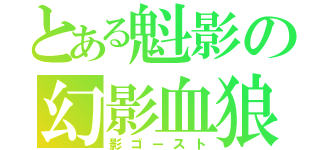 とある魁影の幻影血狼（影ゴースト）