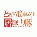 とある電車の居眠り豚（スリーピングピッグ）