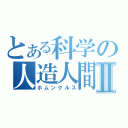 とある科学の人造人間Ⅱ（ホムンクルス）