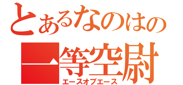 とあるなのはの一等空尉（エースオブエース）