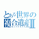 とある世界の複合遺産Ⅱ（カッパドキア）