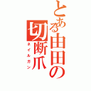 とある由田の切断爪（ネイルガン）