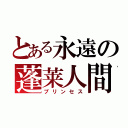 とある永遠の蓬莱人間（プリンセス）