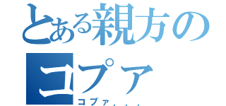 とある親方のコプァ（コプァ．．．）