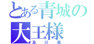 とある青城の大王様（及川徹）