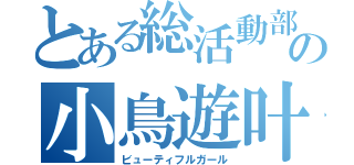 とある総活動部の小鳥遊叶傴（ビューティフルガール）