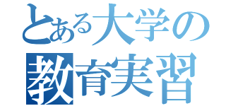 とある大学の教育実習（）