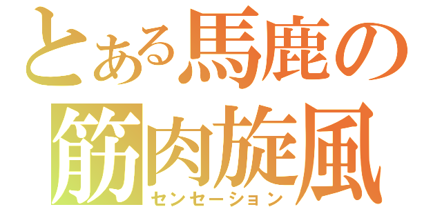 とある馬鹿の筋肉旋風（センセーション）