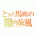 とある馬鹿の筋肉旋風（センセーション）