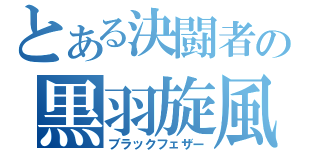 とある決闘者の黒羽旋風（ブラックフェザー）