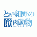 とある細野の筋肉動物（ゴリゴリゴリラ）