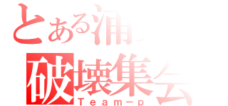 とある浦安の破壊集会（Ｔｅａｍ－ｐ）