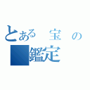 とある 宝 の　鑑定　（）