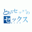 とあるセックスのセックス（セックス）