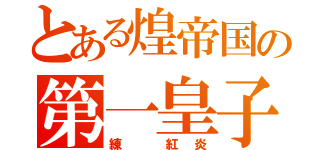 とある煌帝国の第一皇子（練 紅炎）