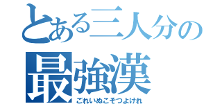 とある三人分の最強漢（ごれいぬこそつよけれ）