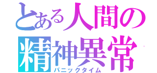 とある人間の精神異常（パニックタイム）