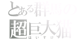 とある群馬の超巨大猫（はいすけ）