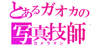 とあるガオカの写真技師（カメラマン）