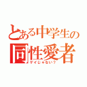 とある中学生の同性愛者（ゲイじゃない？）