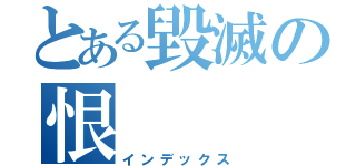 とある毀滅の恨（インデックス）