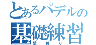 とあるパデルの基礎練習（壁縛り）