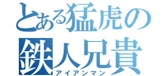 とある猛虎の鉄人兄貴（アイアンマン）