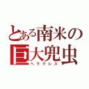 とある南米の巨大兜虫（ヘラクレス）