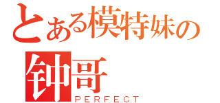 とある模特妹の钟哥（ＰＥＲＦＥＣＴ）