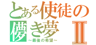 とある使徒の儚き夢Ⅱ（～最後の希望～）