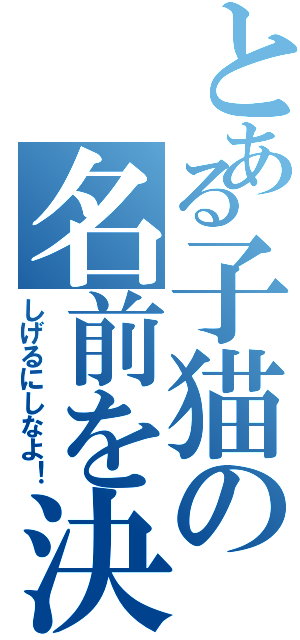 とある子猫の名前を決めよう（しげるにしなよ！）