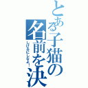 とある子猫の名前を決めよう（しげるにしなよ！）