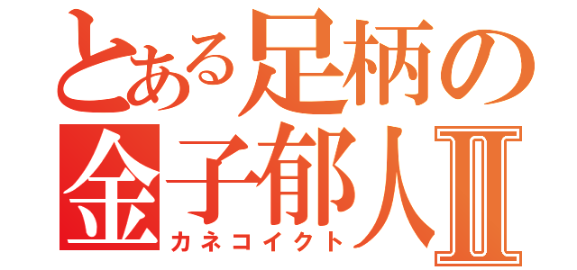 とある足柄の金子郁人Ⅱ（カネコイクト）