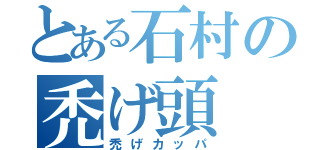 とある石村の禿げ頭（禿げカッパ）