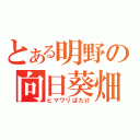 とある明野の向日葵畑（ヒマワリばたけ）