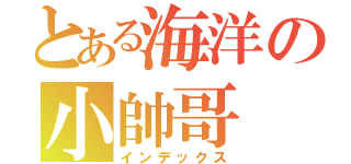 とある海洋の小帥哥（インデックス）