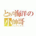 とある海洋の小帥哥（インデックス）