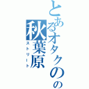 とあるオタクのの秋葉原（ストリート）