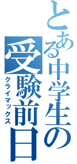 とある中学生の受験前日（クライマックス）