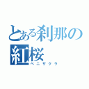 とある刹那の紅桜（ベニザクラ）