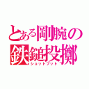 とある剛腕の鉄鎚投擲（ショットプット）