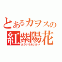 とあるカヲスの紅紫陽花（あかいろあじさい）