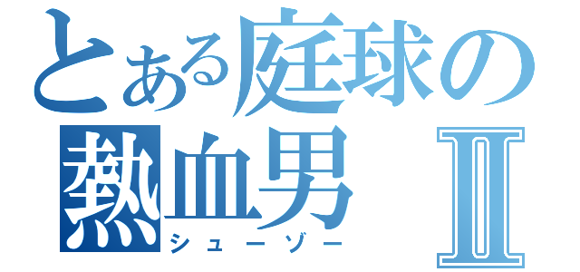 とある庭球の熱血男Ⅱ（シューゾー）