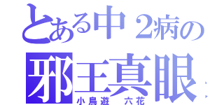 とある中２病の邪王真眼（小鳥遊　六花）