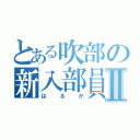 とある吹部の新入部員Ⅱ（はるか）