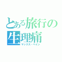 とある旅行の生理痛（マックス・ペイン）