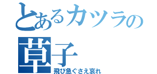 とあるカツラの草子（飛び急ぐさえ哀れ）