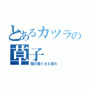 とあるカツラの草子（飛び急ぐさえ哀れ）